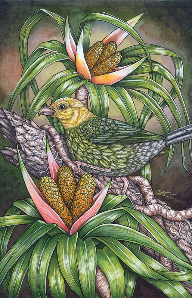 Artwork of small green and yellow bird surrounded by Hawaiian plants.