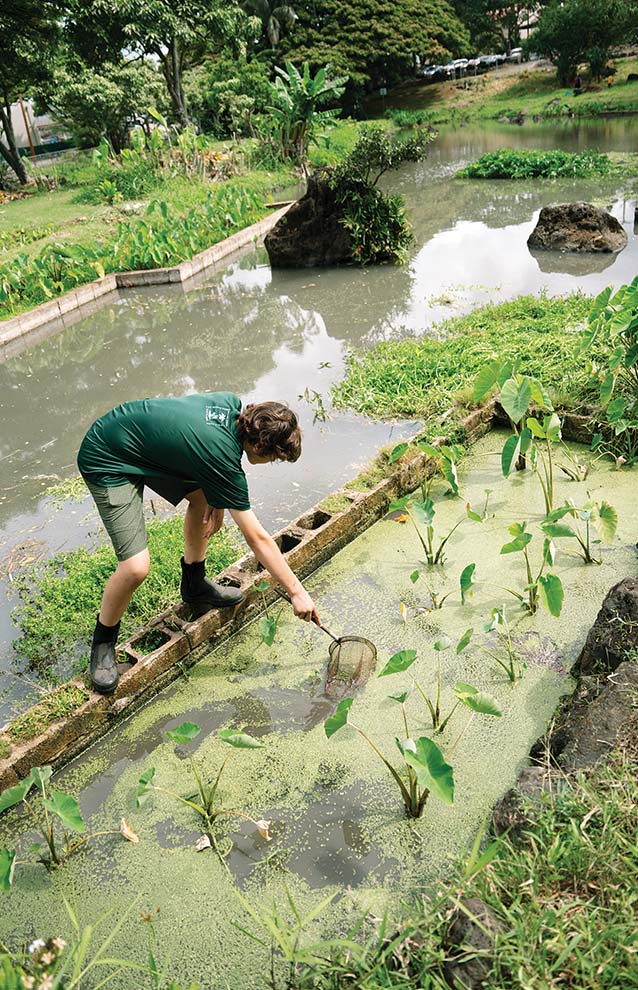 a child catching fish in a pond