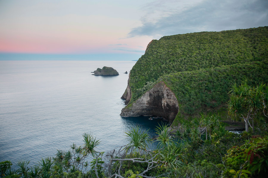 Kohala coast above Honokane