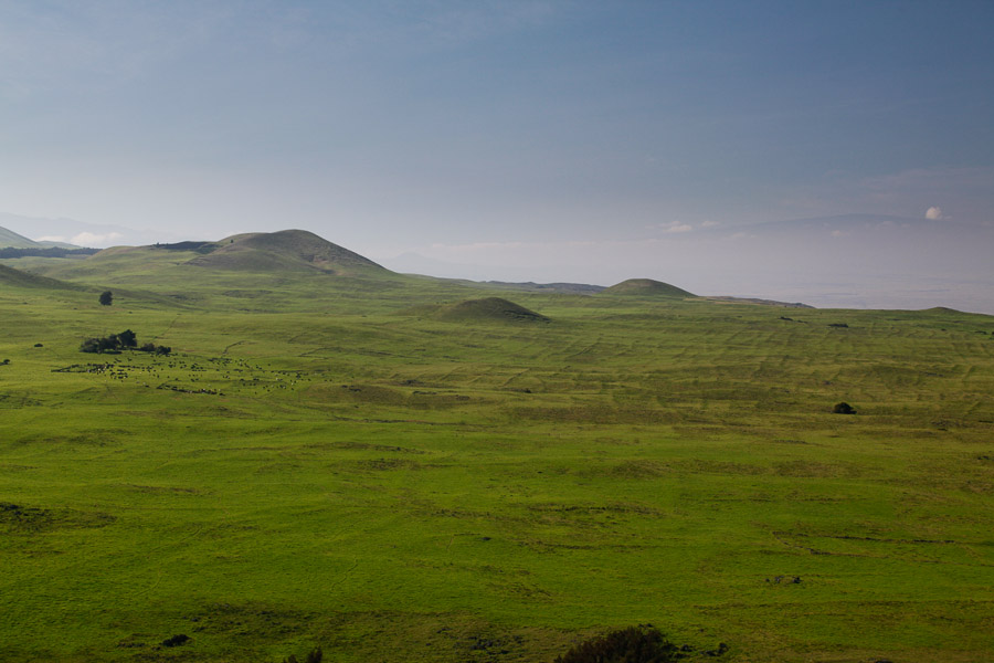 Ranch land and Kohala Field System